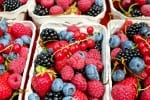 Cosecha y Poscosecha de Frutas y Hortalizas en Argentina: Berries - Frutos del Bosque