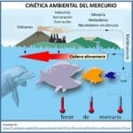 Curso de Distancia Gestión Ambiental de Efluentes Liquidos